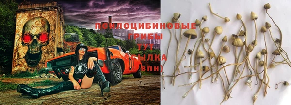 кокаин колумбия Белокуриха
