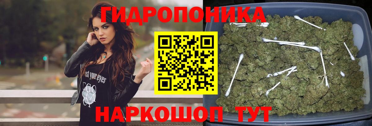 МАРИХУАНА White Widow  Вход с VPN  Каннабис VHQ  Шишки марихуана VHQ  Горячий Ключ 